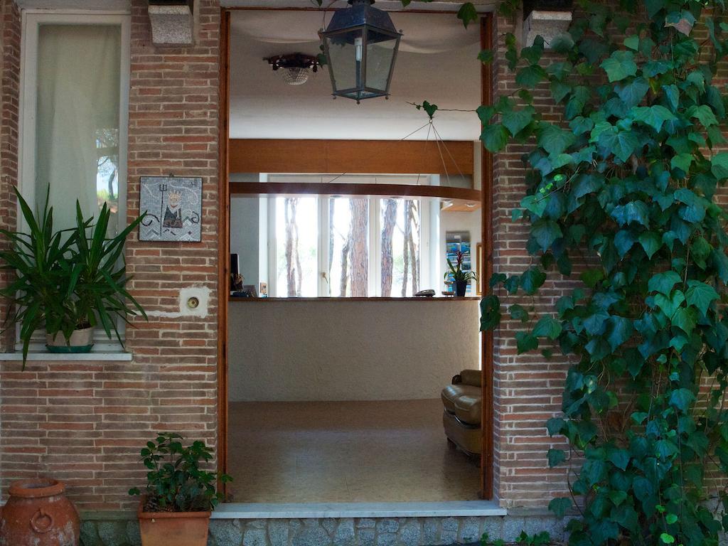 Hotel Villa Nettuno 坎普码港 外观 照片
