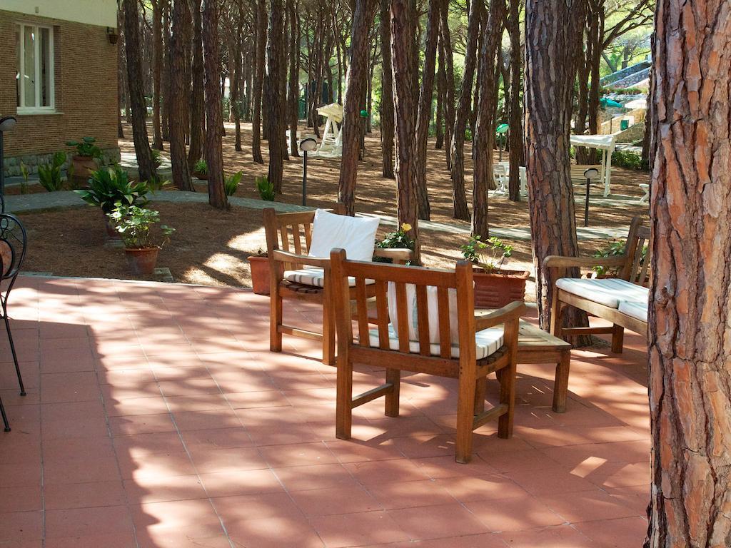 Hotel Villa Nettuno 坎普码港 外观 照片